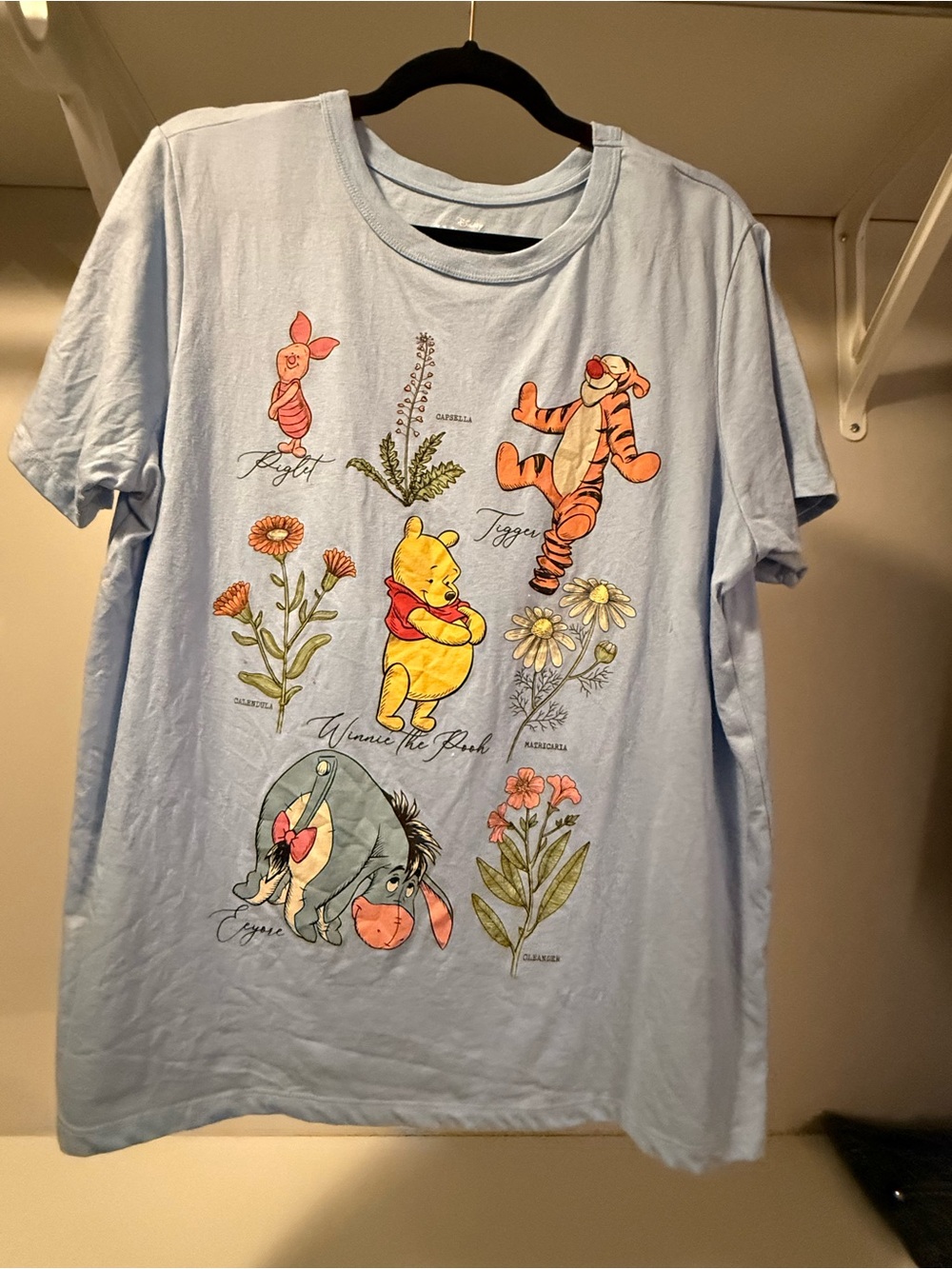 Disney Light Blue Winnie the Pooh & Friends Short Sleeve Graphic Tee - Picture 1 of 2